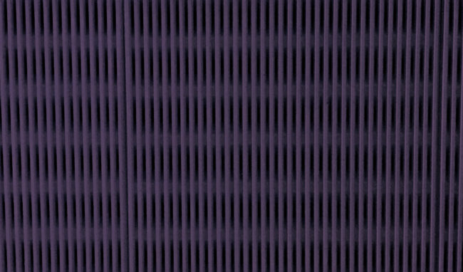 IMG_5719_morado